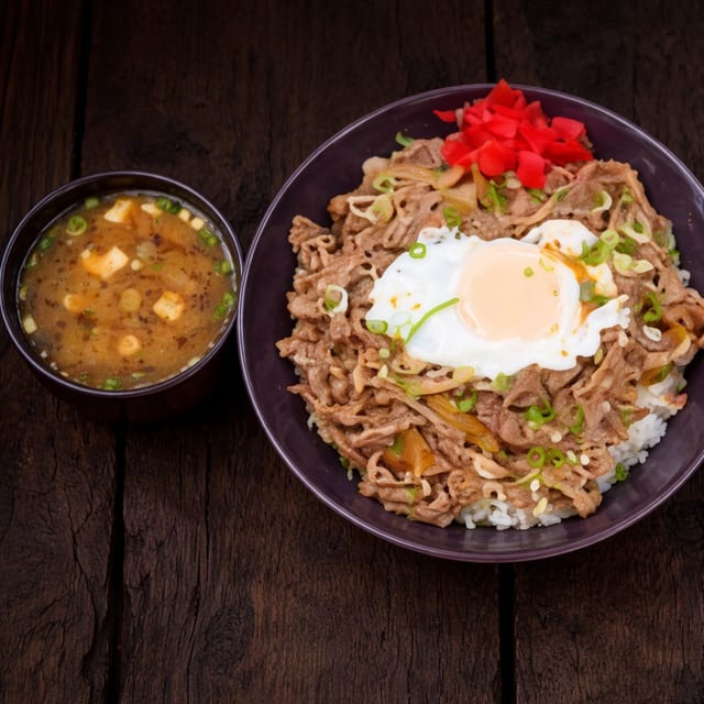 Gyudon Bowl.